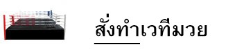 สเวทีมวยสั่งทำย